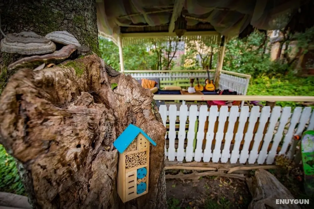 Mountain Tale - Hostel - Dış Mekanlar