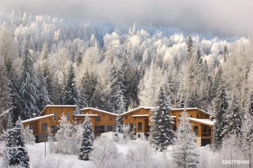 Mountain Town Properties Mountain Project 1 - Öne Çıkan Resim