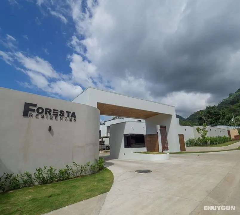 Mountain View Foresta A3 - Öne Çıkan Resim