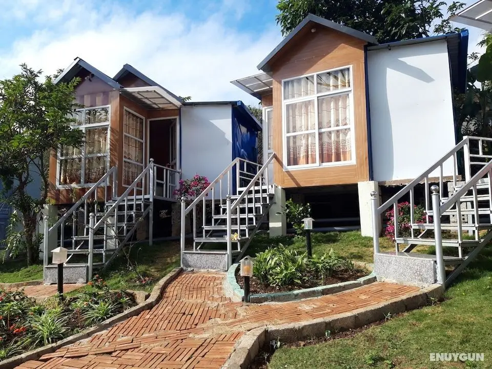 Mountain View Homestay - Hostel - Öne Çıkan Resim