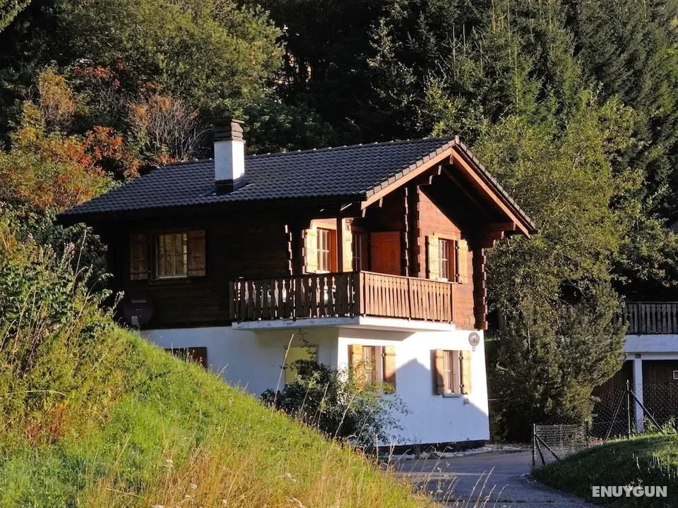 Mountain View Mol Son-sur-gruy res - Öne Çıkan Resim