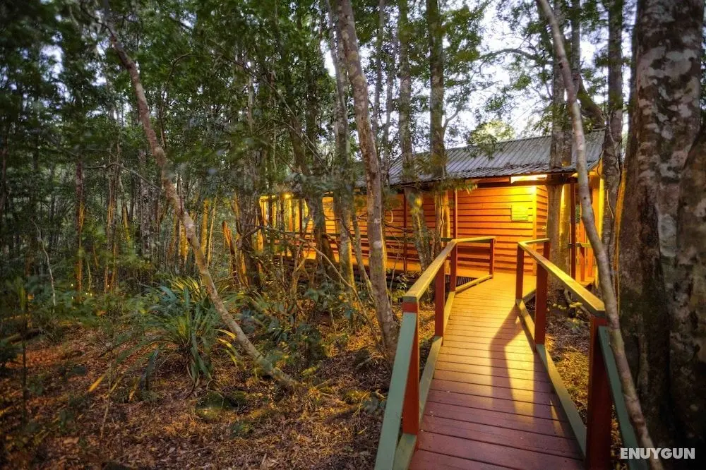 The Mouses House Rainforest Retreat - Misafir Tesisleri ve Hizmetleri