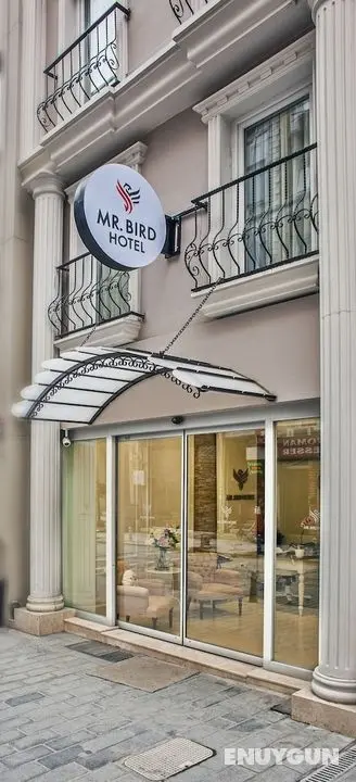 Mr. Bird Hotel - Öne Çıkan Resim