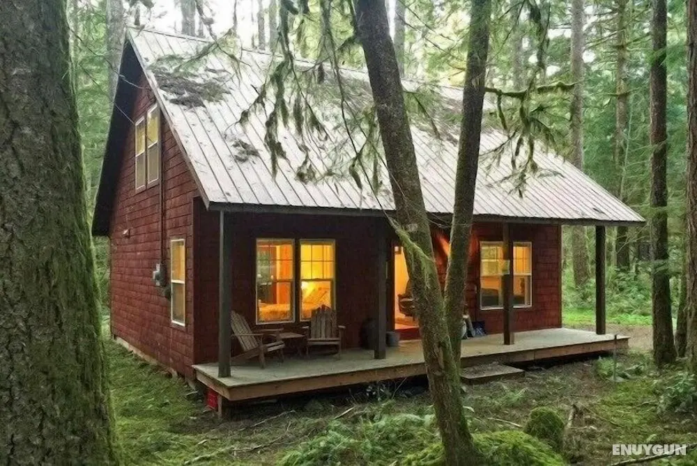 Mt Baker Lodging Cabin 12 - Sleeps 4 - Oda