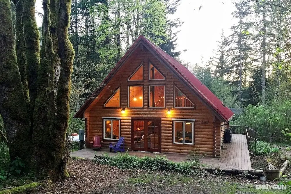 Mt. Baker Lodging Cabin 21 - BBQ, Pets OK, Sleeps 6! by MBL - Öne Çıkan Resim