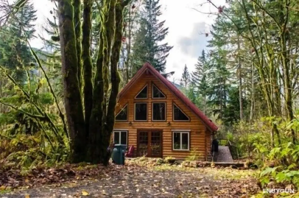 Mt Baker Lodging Cabin 21 - Sleeps 6 - Oda