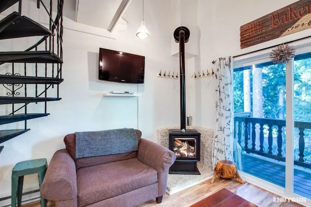 Mt Baker Lodging Cabin 24 - Sleeps 4 - Oda