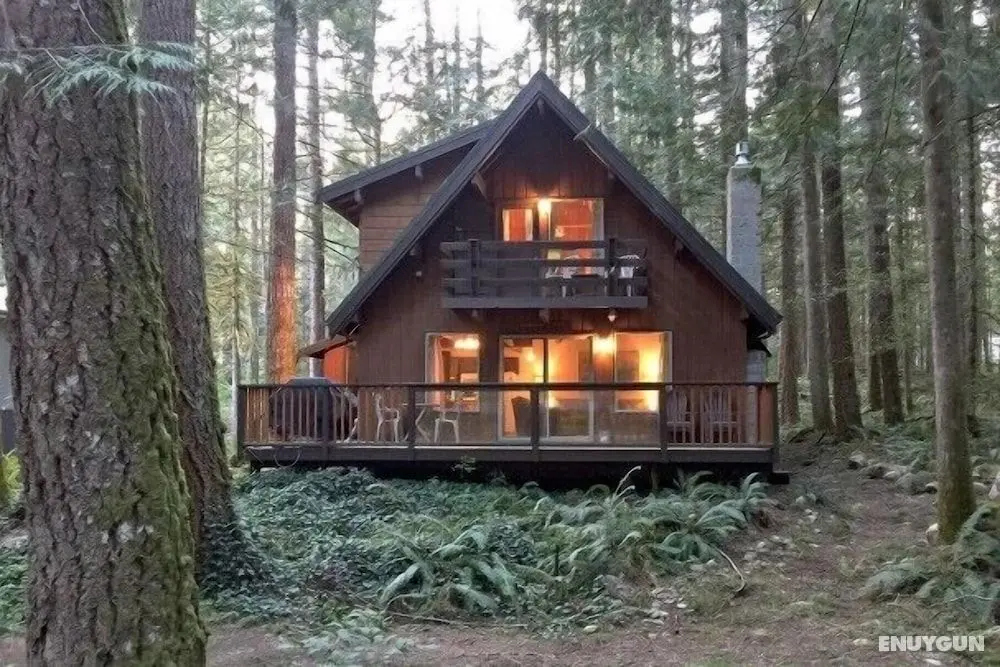 Mt Baker Lodging Cabin 27 - Sleeps 10 - Öne Çıkan Resim