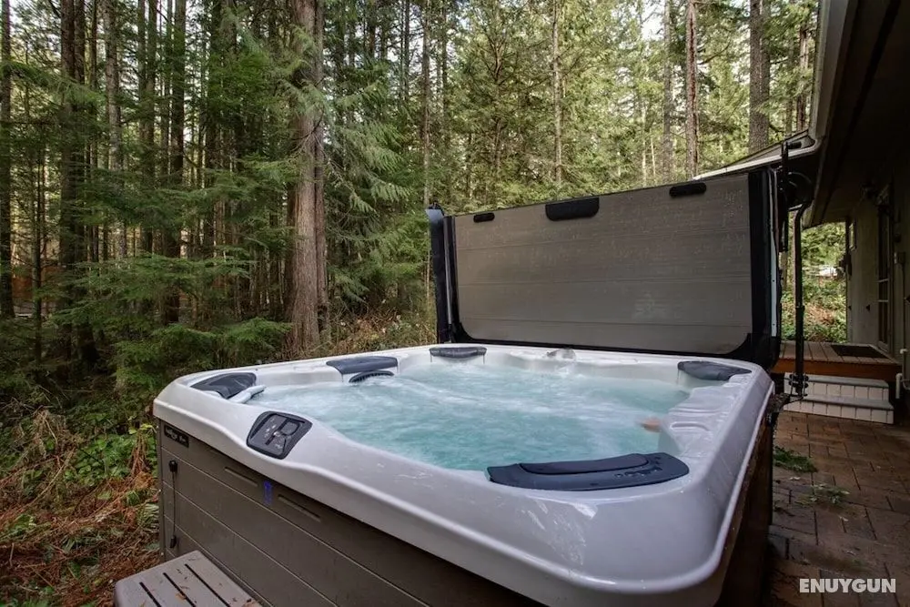 Mt Baker Lodging Cabin 30 - Sleeps 8 - Oda