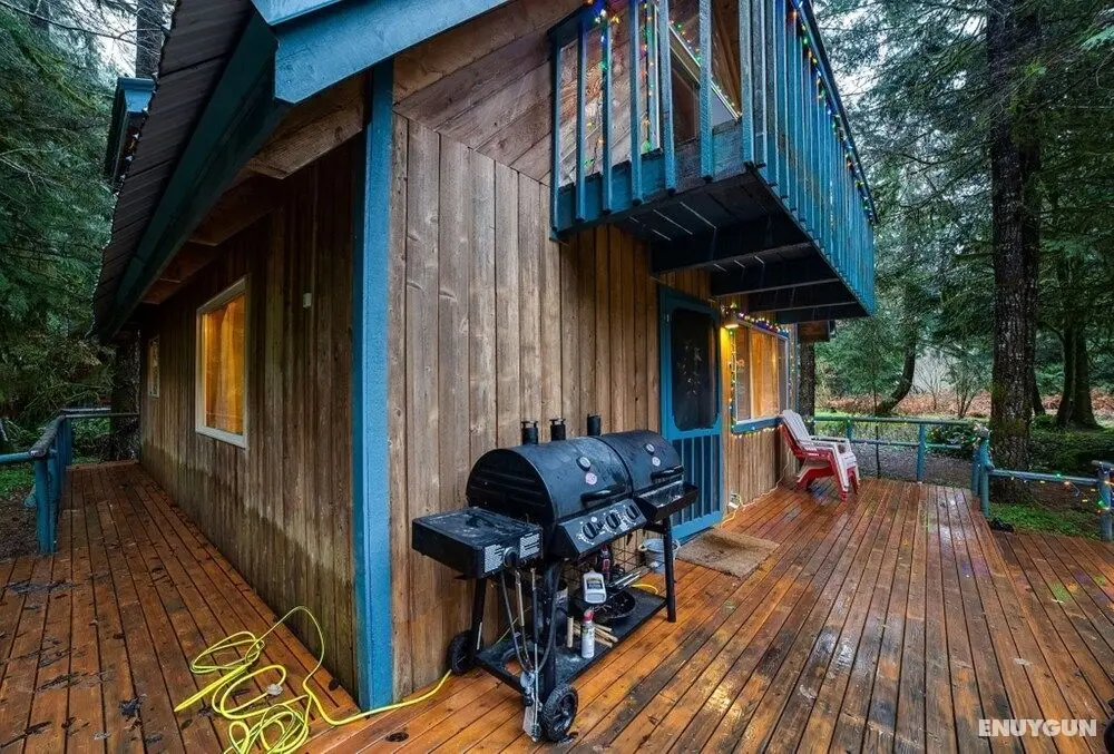 Mt Baker Lodging Cabin 48 - HOT TUB, SLEEPS-5! by MBL - Dış Mekanlar