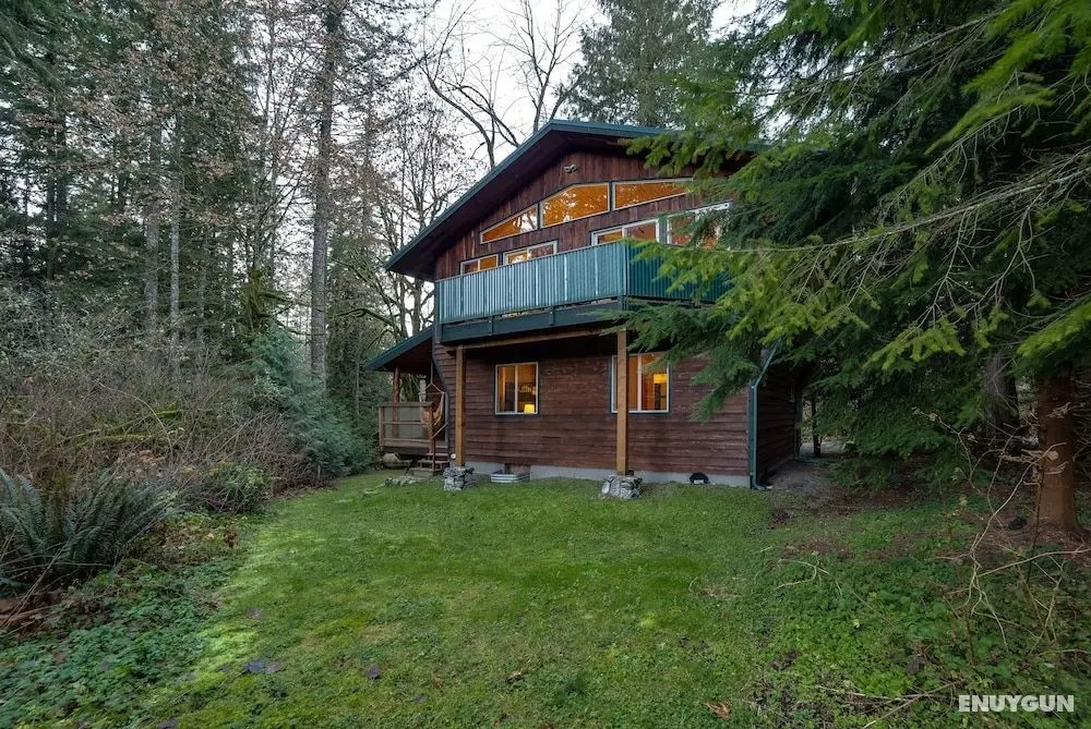 Mt. Baker Lodging Cabin 54 – Mt View, WiFi, Sleeps 6! by MBL - Dış Mekan