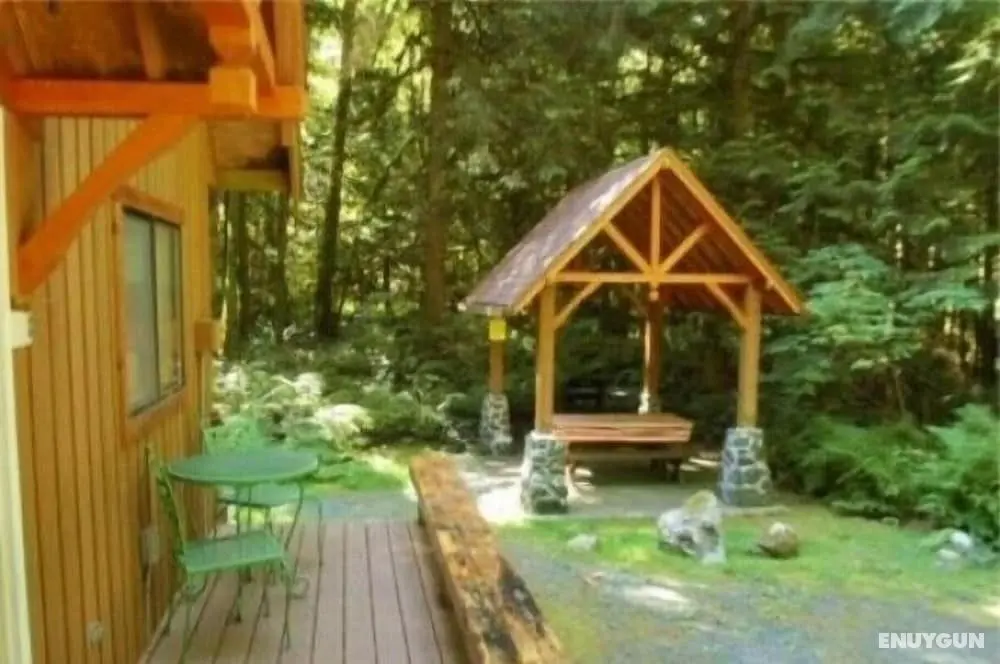 Mt Baker Lodging Cabin 67 - Sleeps 5 - Oda