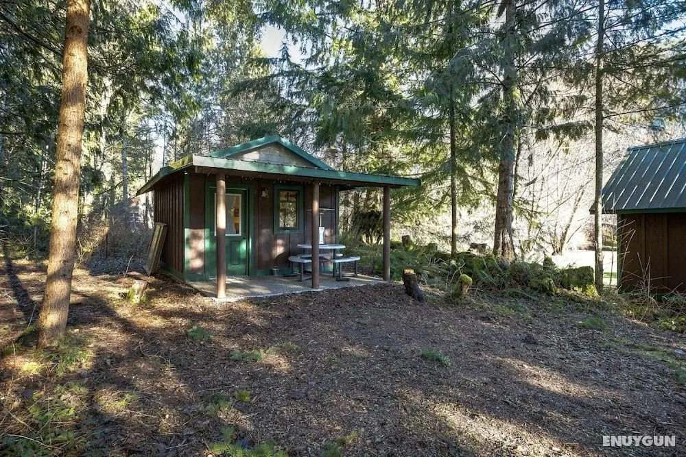 Mt Baker Lodging Cabin 72 - PETS, MT VIEWS, SLEEPS 4! by MBL - Öne Çıkan Resim