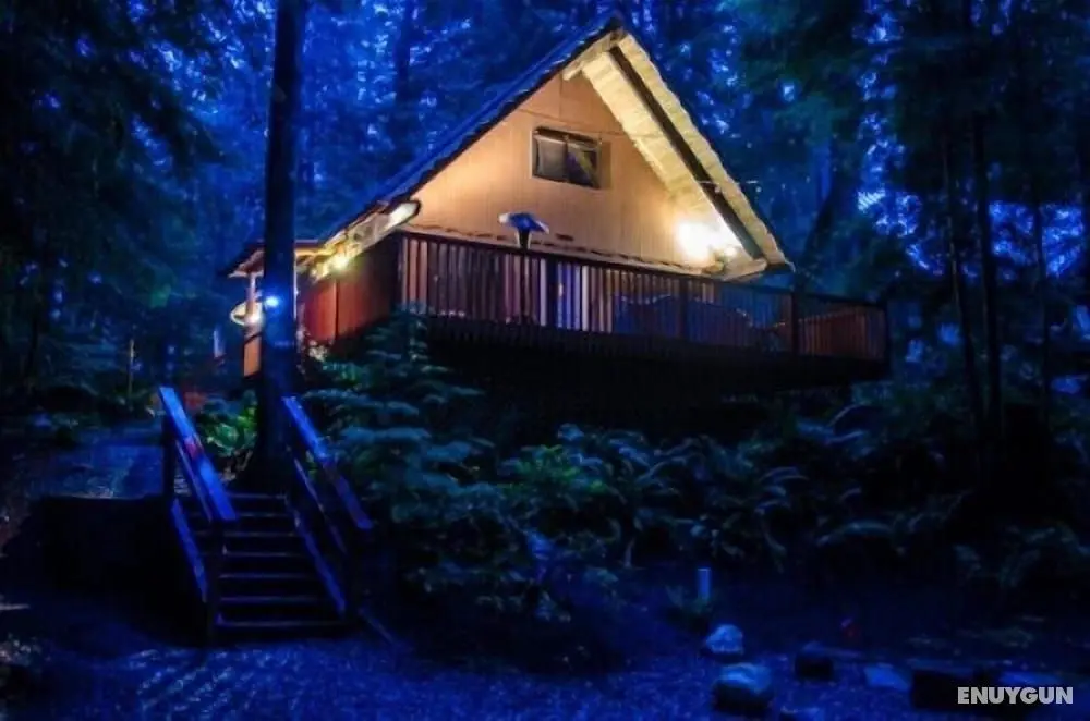 Mt Baker Lodging Cabin 98 - Sleeps 6 - Oda