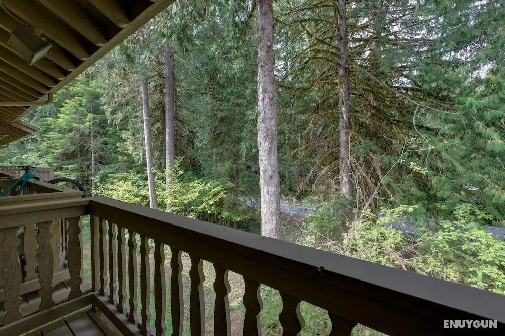 Mt Baker Lodging Condo 18 – REMODELED, SLEEPS 4! by MBL - Oda Manzaraları