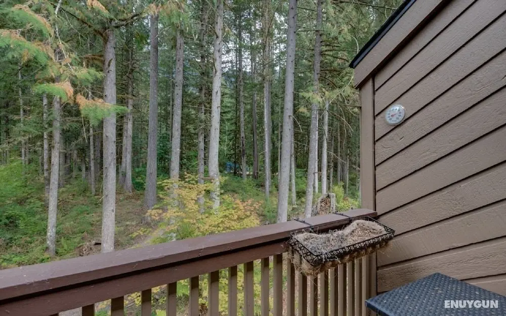 Mt Baker Lodging Condo 23 - LUXURIOUS, SLEEPS 4! by MBL - Oda Manzaraları