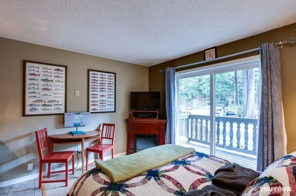 Mt Baker Lodging Condo 37 - Sleeps 2 - Oda