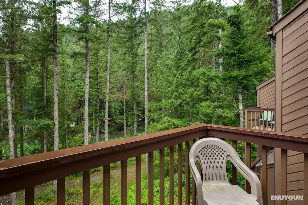 Mt Baker Lodging Condo 85 – FRPL, W/D, DW, SLEEPS-4! by MBL - Oda Manzaraları