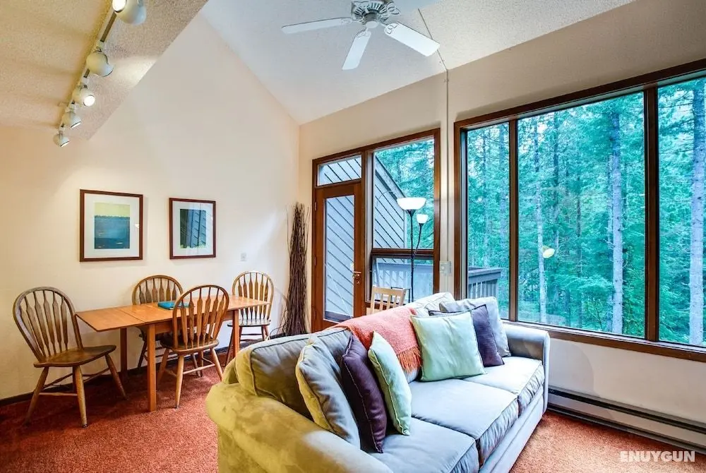 Mt Baker Lodging Condo 85 – FRPL, W/D, DW, SLEEPS-4! by MBL - Öne Çıkan Resim