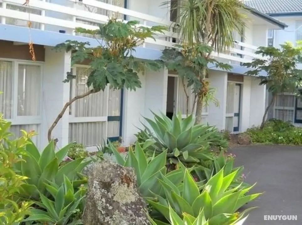 Mt Eden Motel - Dış Mekanlar