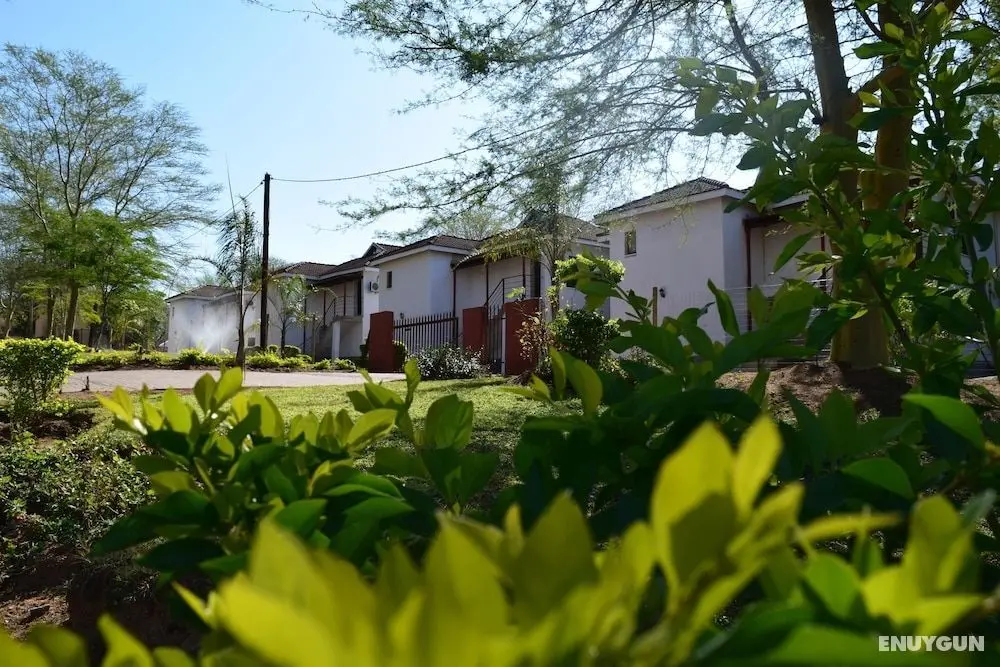 Mthunzi Lodge - Öne Çıkan Resim