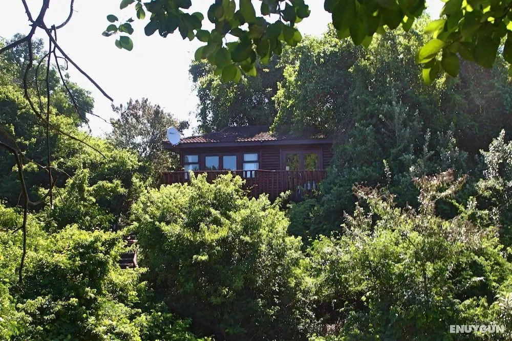 Mtunzini Forest Lodge Self Catering - Öne Çıkan Resim