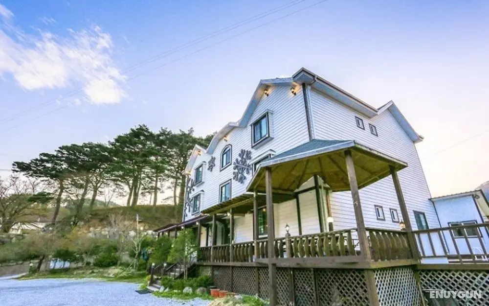 Muju Snowflower Travel Pension - Misafir Tesisleri ve Hizmetleri