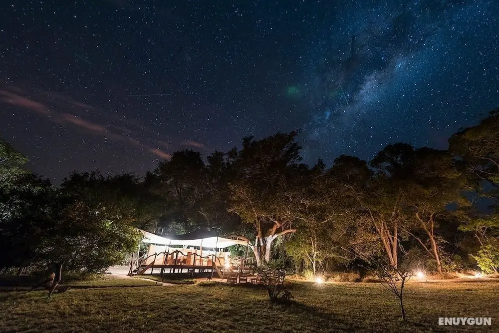 Mukambi Fig Tree Bush Camp – All Inclusive - Öne Çıkan Resim