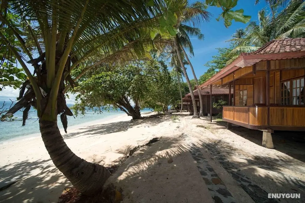 Murex Bangka Dive Resort - Öne Çıkan Resim