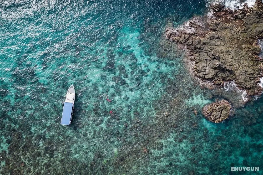 Murex Manado Dive Resort - Öne Çıkan Resim