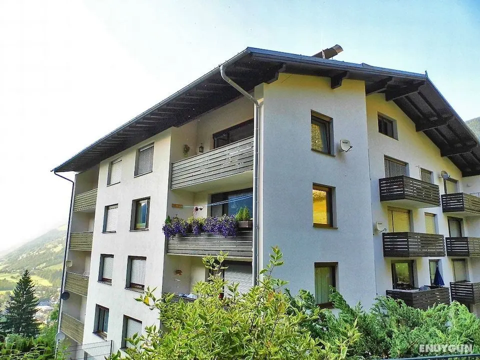 Murmeltier Bad Gastein - Öne Çıkan Resim