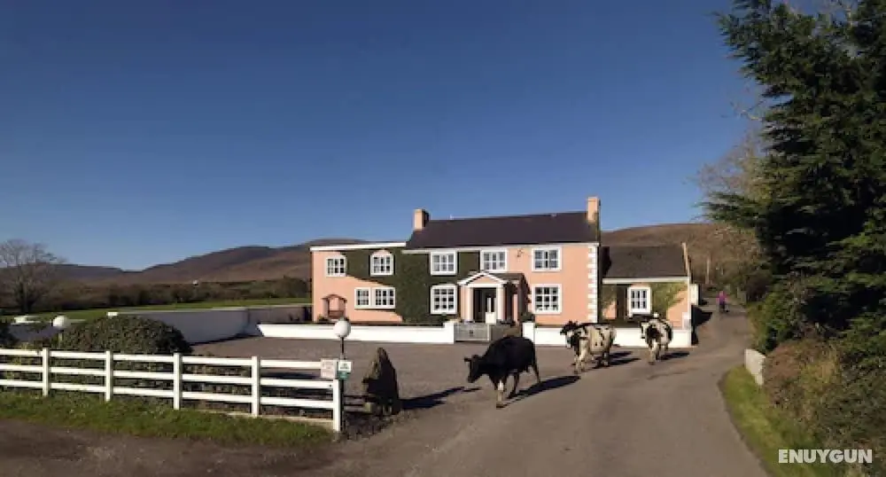 Murphy's Farmhouse - Öne Çıkan Resim