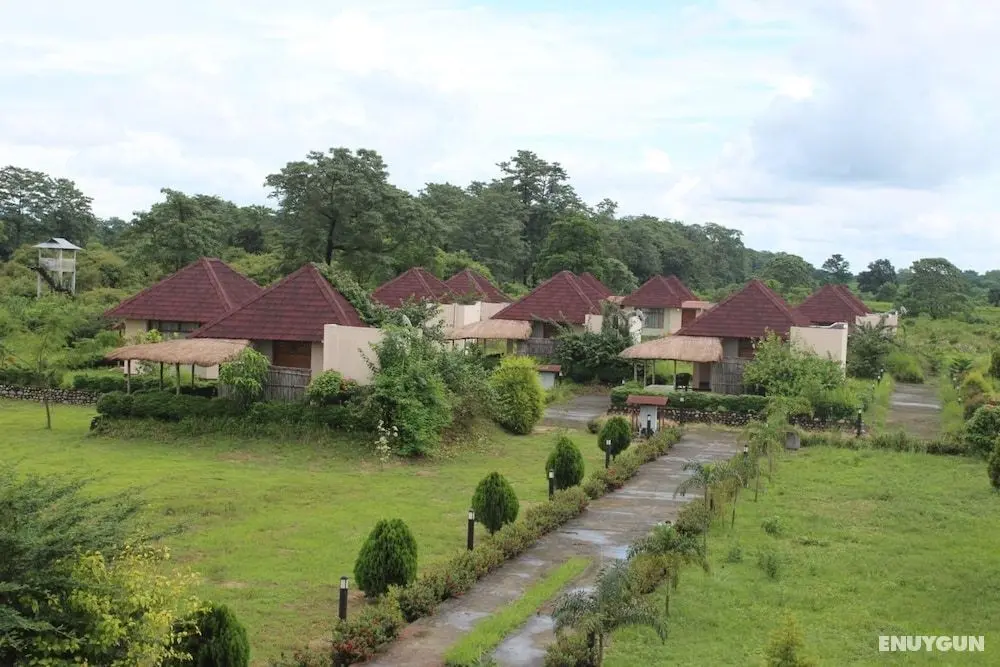 Musa Jungle Retreat - Dış Mekan