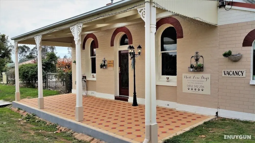 Must Love Dogs B&b - Öne Çıkan Resim