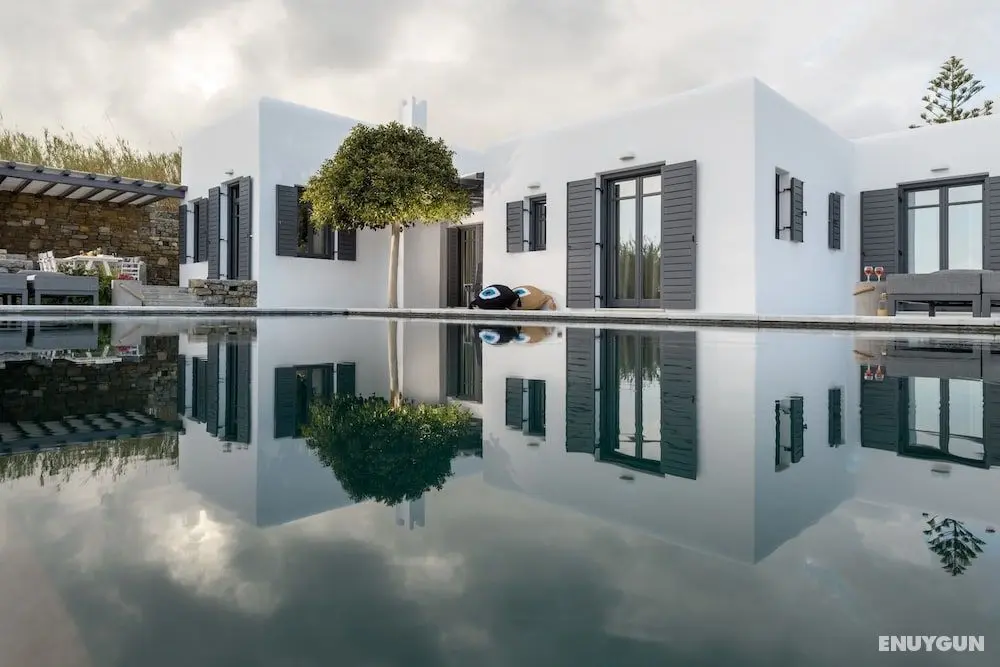 Myconian Platinum Senior Villa - Öne Çıkan Resim