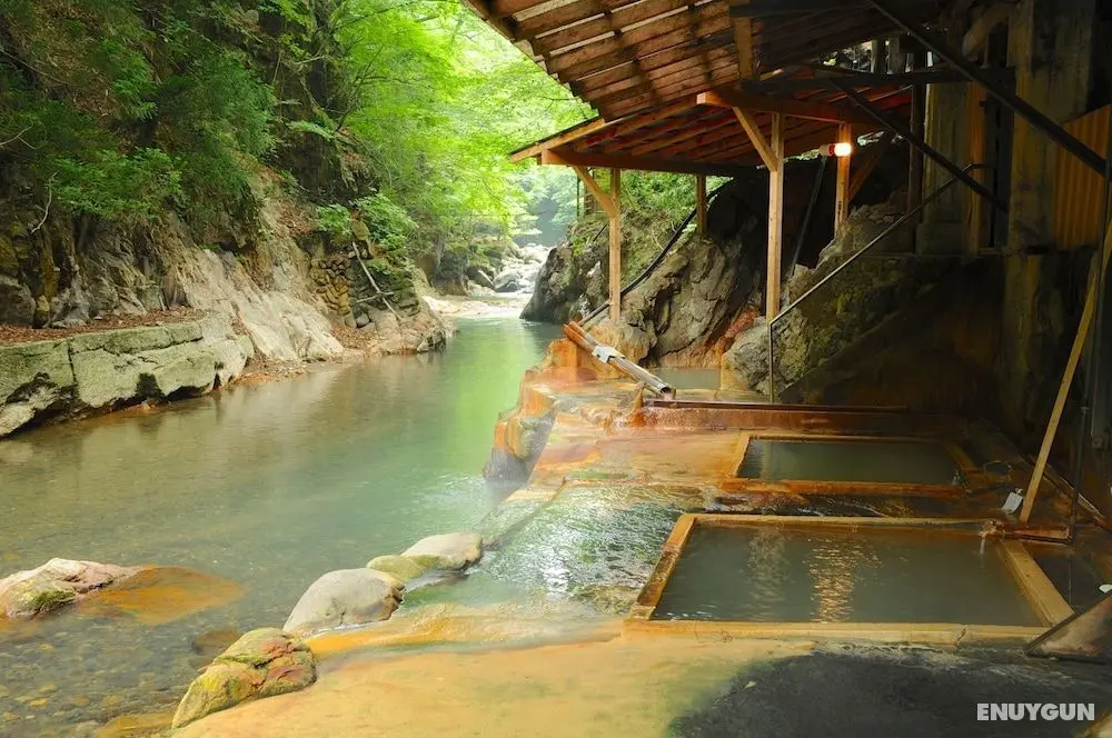 Myogaya Honkan - Ryokan Tesisleri