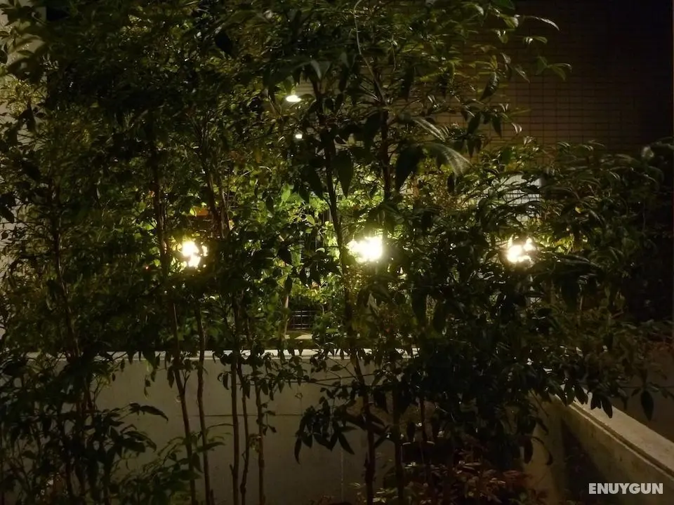 Nagoya Motoyama House A - Dış Mekan