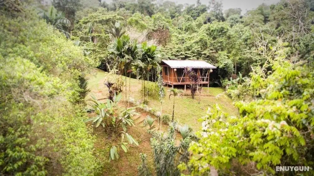 Naguala - Hostel - Dış Mekan