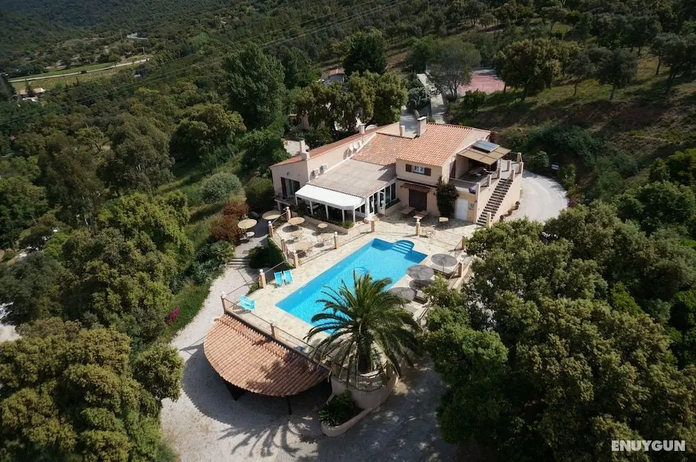Villa Nais - Öne Çıkan Resim