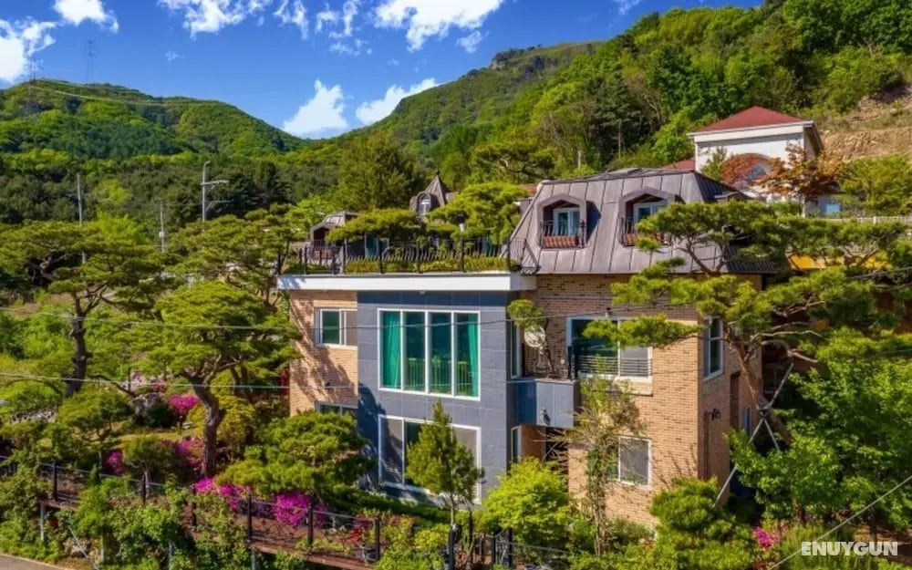 Namyangju S Nine Pension - Misafir Tesisleri ve Hizmetleri