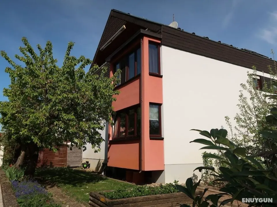 Natie Herbolzheim in Herbolzheim - Öne Çıkan Resim