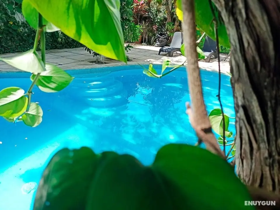 Nativ Tulum Hotel Boutique - Öne Çıkan Resim