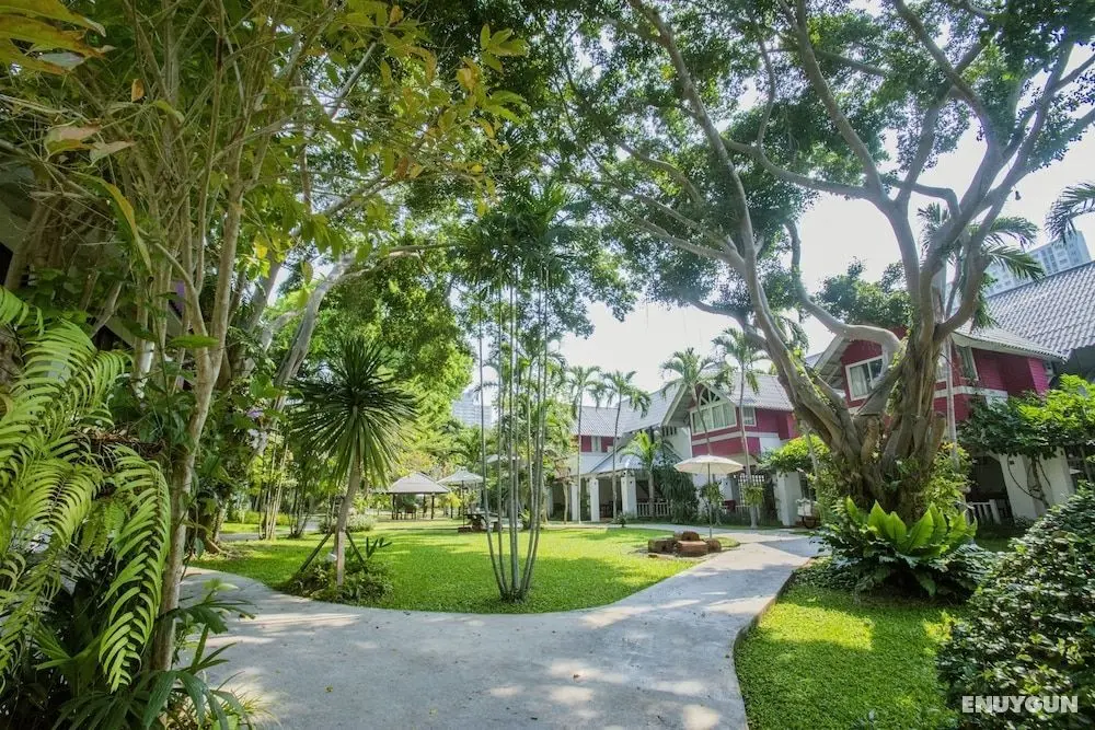 Natural Park Resort - Oda Manzaraları