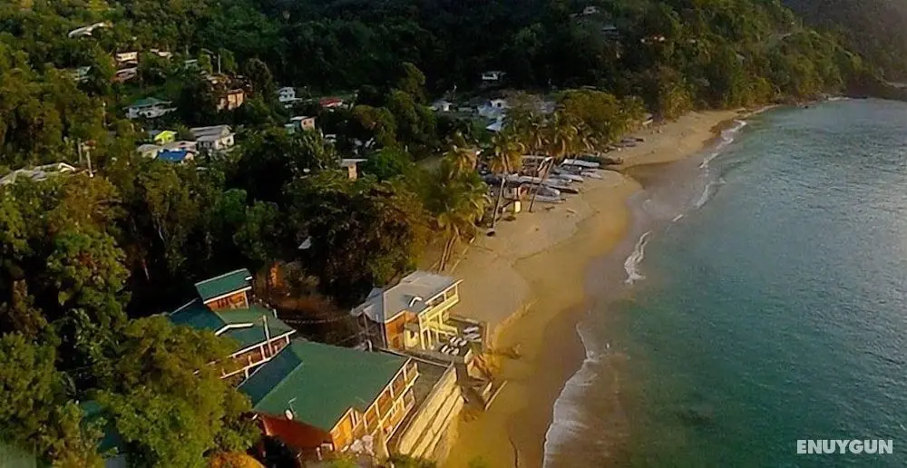 The Naturalist Beach Resort - Dış Mekan
