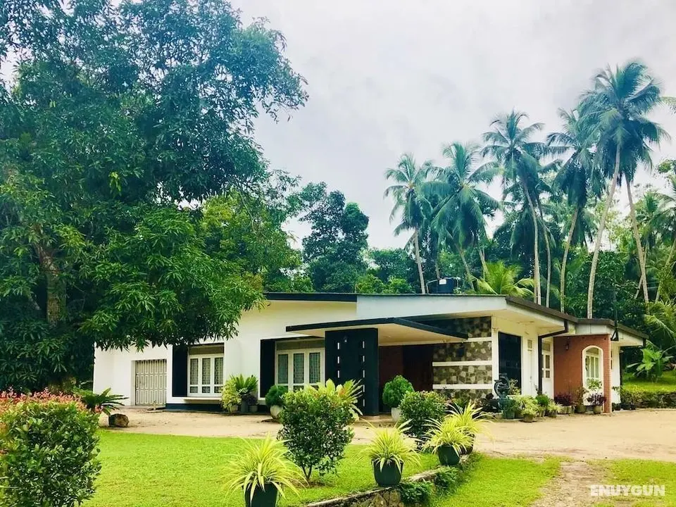 The Nature Holiday Home - Öne Çıkan Resim