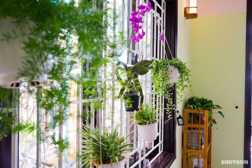 Nature Homestay - Öne Çıkan Resim