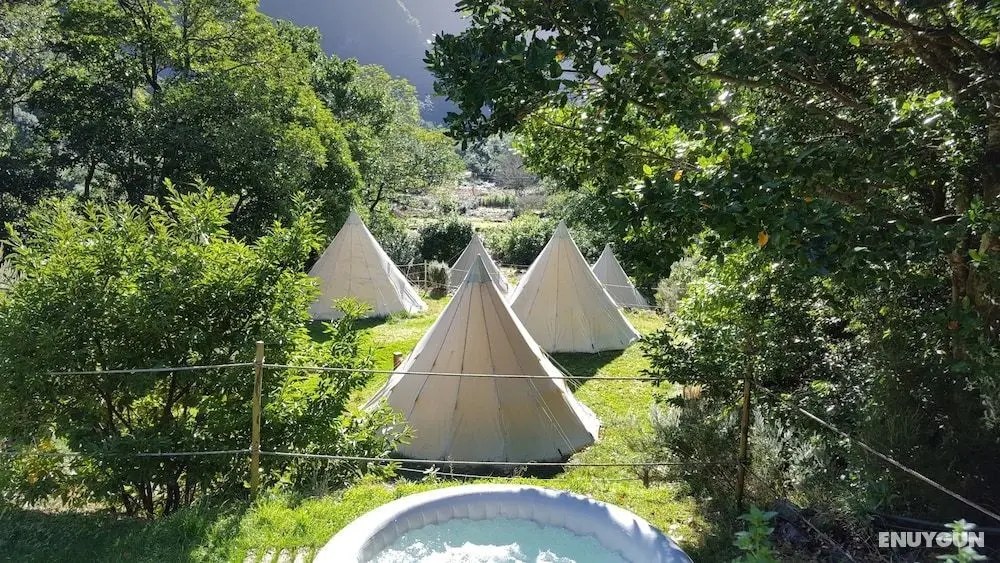 Nature inn Madeira - Glamping - Öne Çıkan Resim