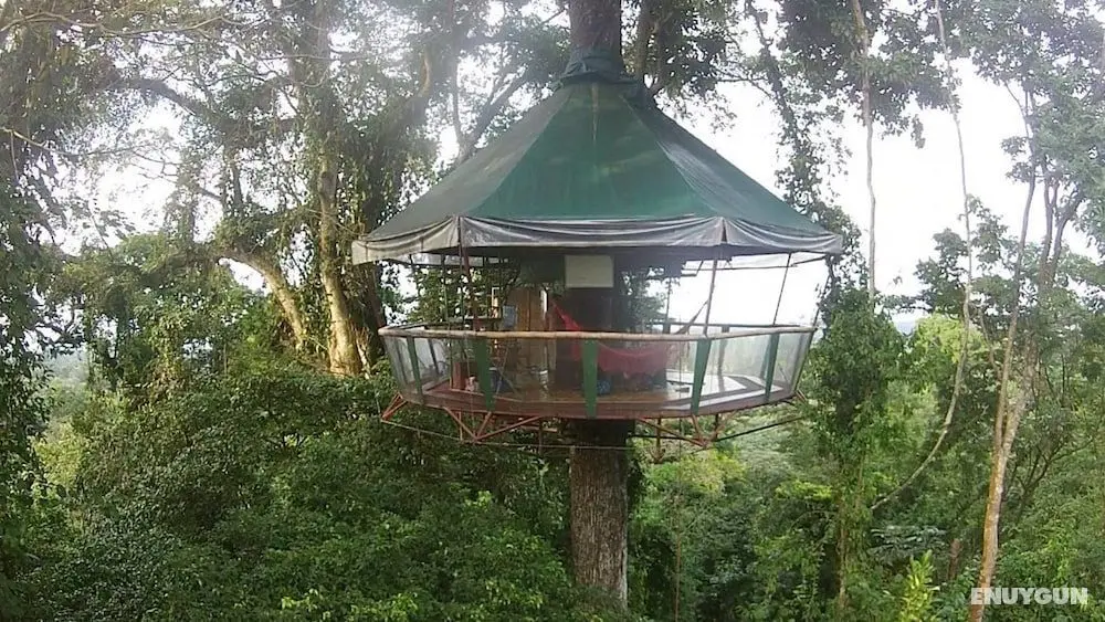 Nature Observatorio Amazing Treehouse - Öne Çıkan Resim
