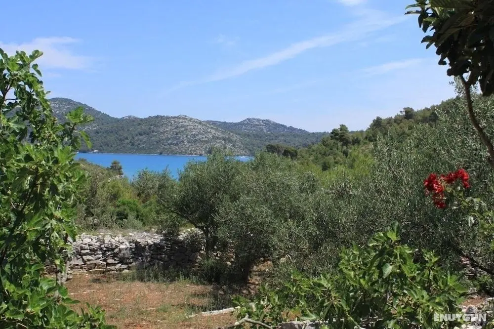 Nature Park - Relaxing and Comfortable - H - Öne Çıkan Resim