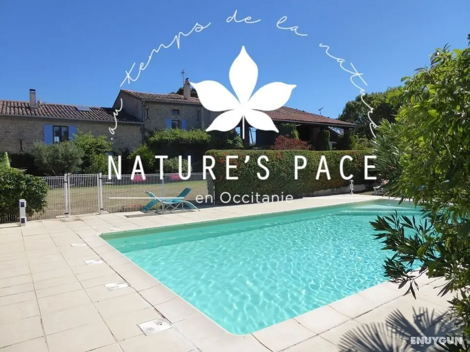 Nature's Pace Holidays - Öne Çıkan Resim